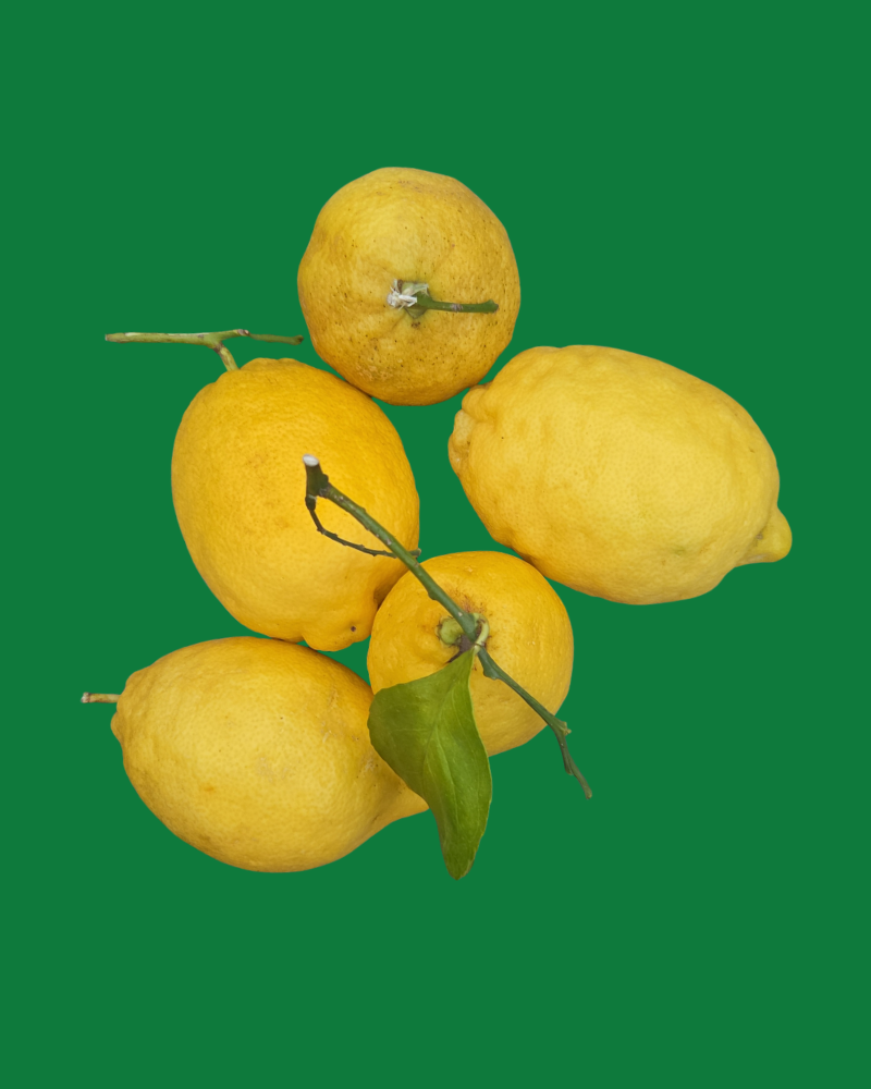 Italiaanse citroenen voor limoncello