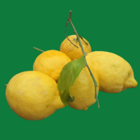 Italiaanse citroenen voor limoncello