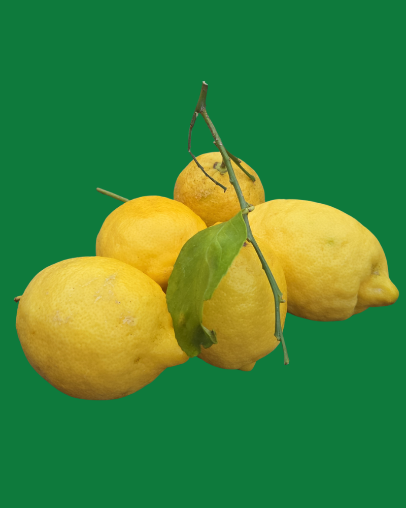 Italiaanse citroenen voor limoncello